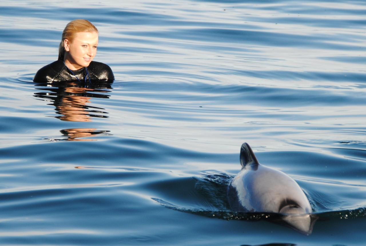 Akaroa Swimming with Dolphins - Photo 1 of 25